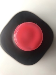 ARTEX Artylac color base 115 15мл